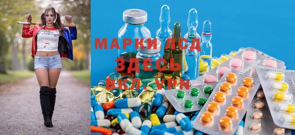 PSILOCYBIN Баксан
