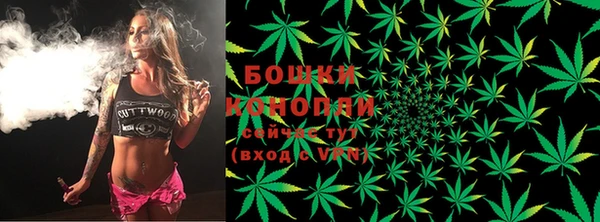 PSILOCYBIN Баксан
