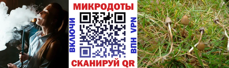 Псилоцибиновые грибы Magic Shrooms Старая Купавна