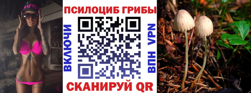 Псилоцибиновые грибы ЛСД  цены наркотик  Старая Купавна 